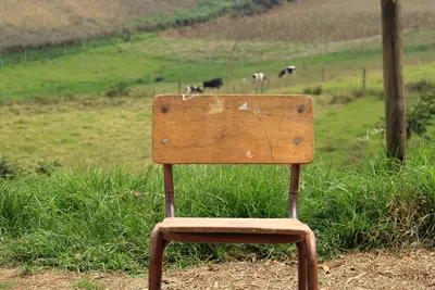 🌐 Setting Up NFS Network File System on AlmaLinux: Share Files Across Your Network Like Magic