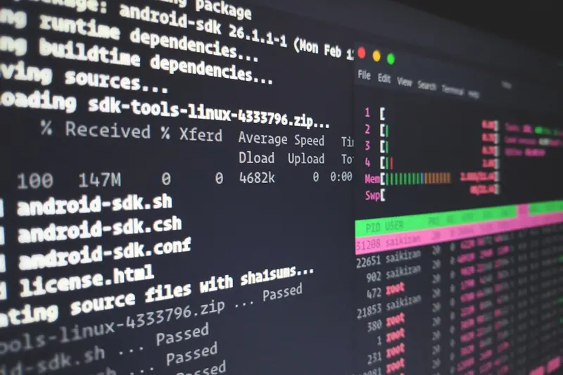 How to install Alpine Linux on your computer